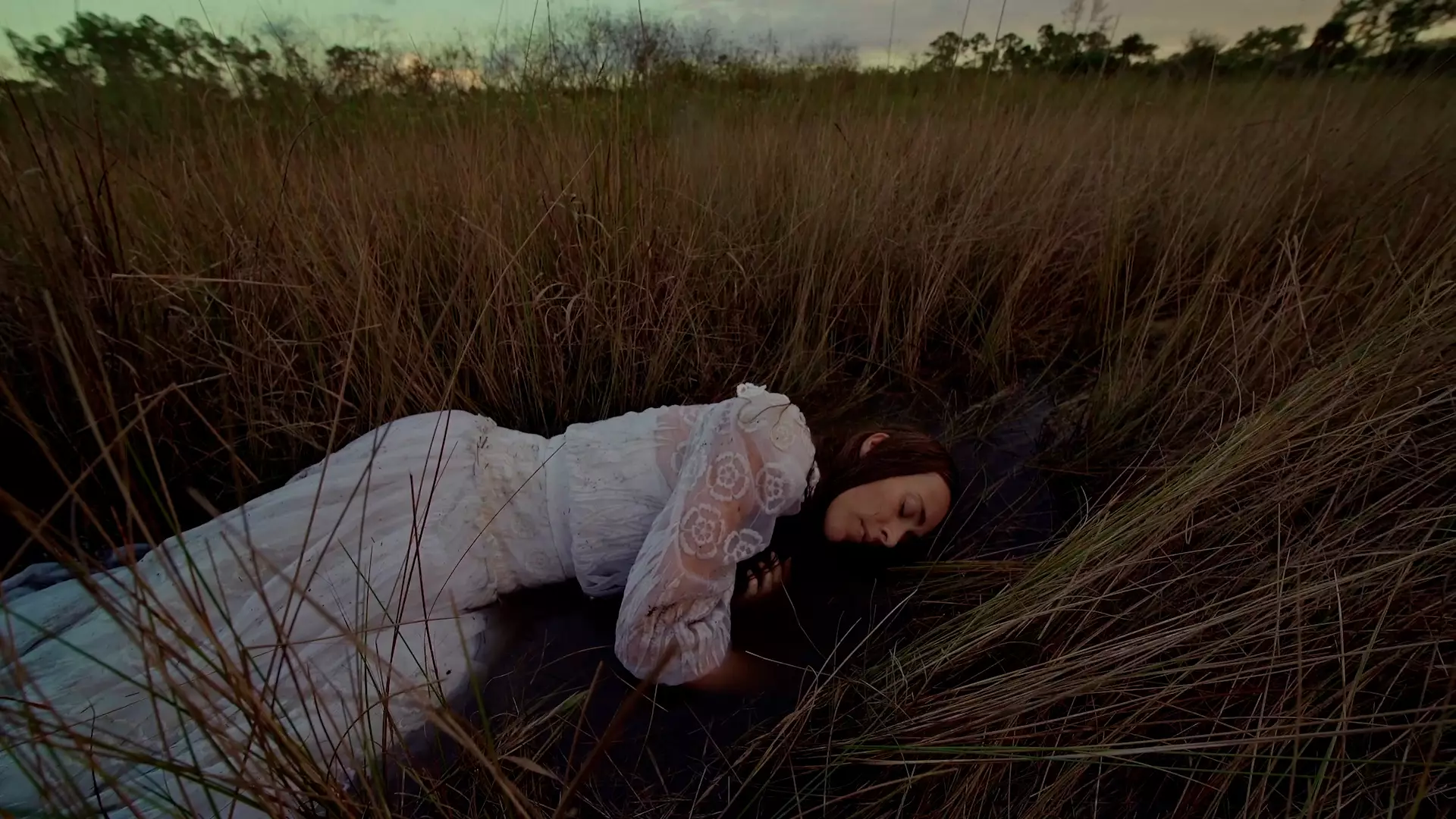 PAXy - Into the Wild